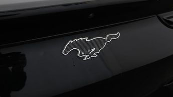 Ford Mustang Mach-E BASE