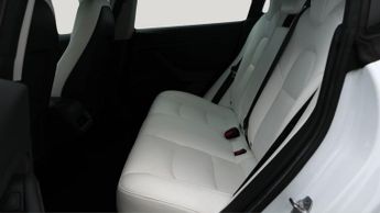 Tesla Model 3 ALL MODELS