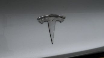 Tesla Model 3 ALL MODELS