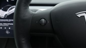 Tesla Model 3 ALL MODELS