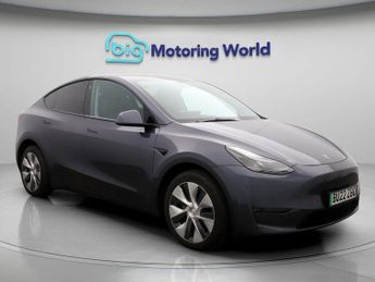 Tesla Model Y ALL MODELS