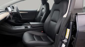 Tesla Model 3 ALL MODELS