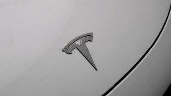 Tesla Model 3 ALL MODELS