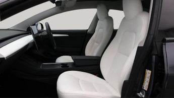 Tesla Model 3 ALL MODELS