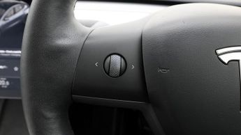 Tesla Model 3 ALL MODELS