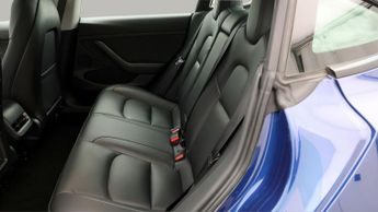 Tesla Model 3 ALL MODELS