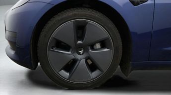 Tesla Model 3 ALL MODELS