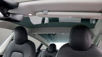 Tesla Model 3 ALL MODELS