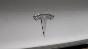 Tesla Model 3 ALL MODELS