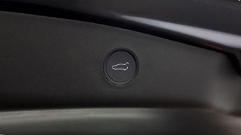 Tesla Model 3 ALL MODELS