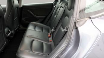 Tesla Model 3 ALL MODELS