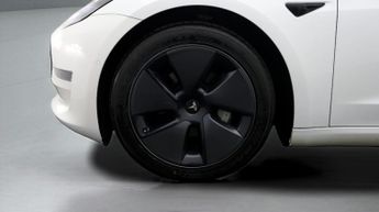 Tesla Model 3 ALL MODELS