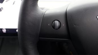 Tesla Model 3 ALL MODELS