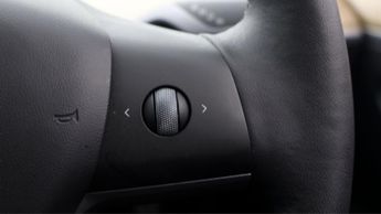 Tesla Model 3 ALL MODELS