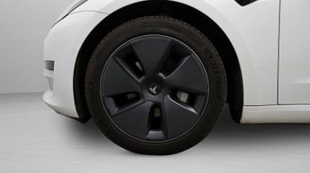 Tesla Model 3 ALL MODELS