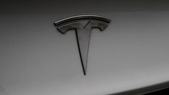 Tesla Model 3 ALL MODELS