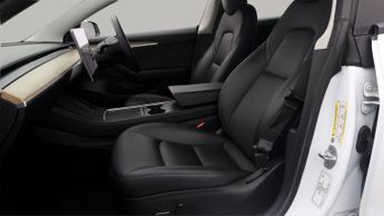 Tesla Model 3 ALL MODELS