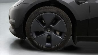 Tesla Model 3 ALL MODELS