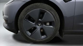 Tesla Model 3 ALL MODELS