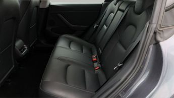 Tesla Model 3 ALL MODELS