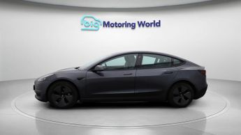 Tesla Model 3 ALL MODELS