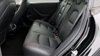 Tesla Model 3 ALL MODELS