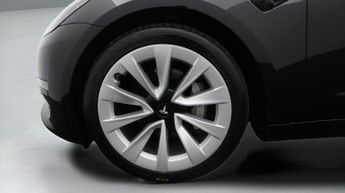 Tesla Model 3 ALL MODELS