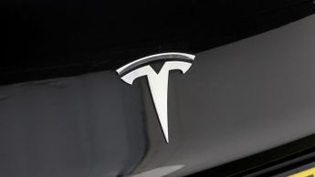 Tesla Model 3 ALL MODELS