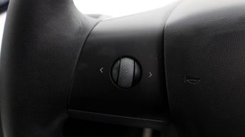 Tesla Model 3 ALL MODELS