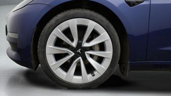 Tesla Model 3 ALL MODELS