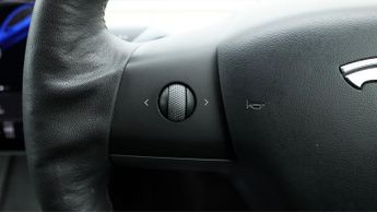 Tesla Model 3 ALL MODELS