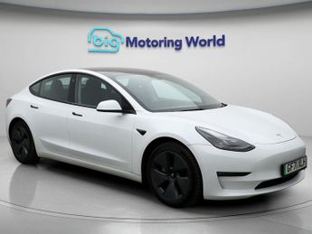 Tesla Model 3 ALL MODELS