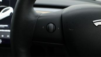 Tesla Model 3 ALL MODELS