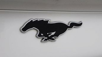 Ford Mustang Mach-E BASE