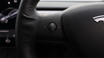 Tesla Model 3 ALL MODELS