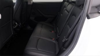 Tesla Model Y ALL MODELS