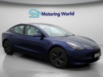 Tesla Model 3 ALL MODELS