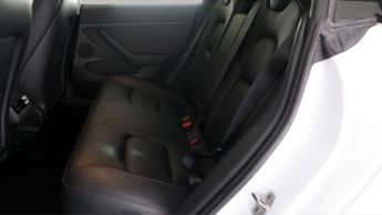 Tesla Model 3 ALL MODELS