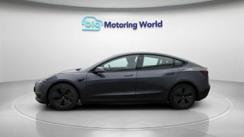 Tesla Model 3 ALL MODELS