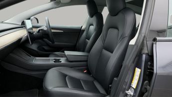 Tesla Model 3 ALL MODELS