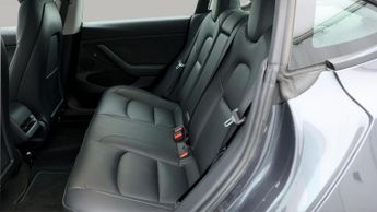 Tesla Model 3 ALL MODELS