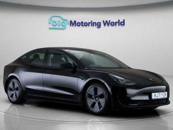 Tesla Model 3 ALL MODELS