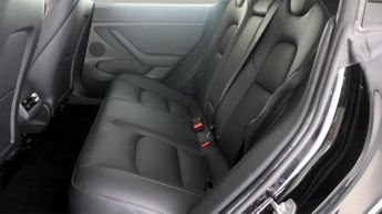 Tesla Model 3 ALL MODELS