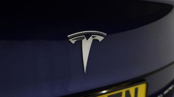 Tesla Model 3 ALL MODELS