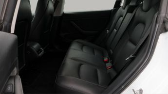 Tesla Model 3 ALL MODELS