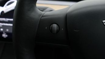 Tesla Model 3 ALL MODELS