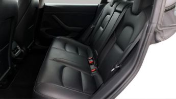 Tesla Model 3 ALL MODELS