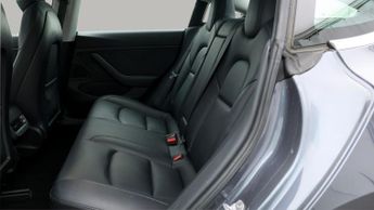 Tesla Model 3 ALL MODELS