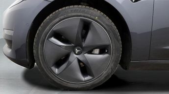 Tesla Model 3 ALL MODELS