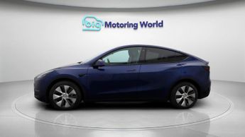 Tesla Model Y ALL MODELS